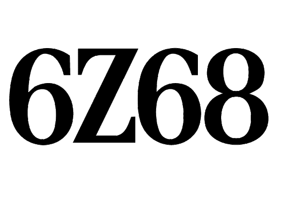 Z66